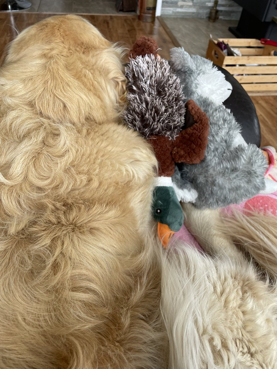 It’s raining, it’s pouring 
Being home on the couch is boring. 
Dad left me in the lurch
Mom abandoned me for church
So I’m watching the fire that’s roaring.
Life of Chum whose dad went fishing without him.