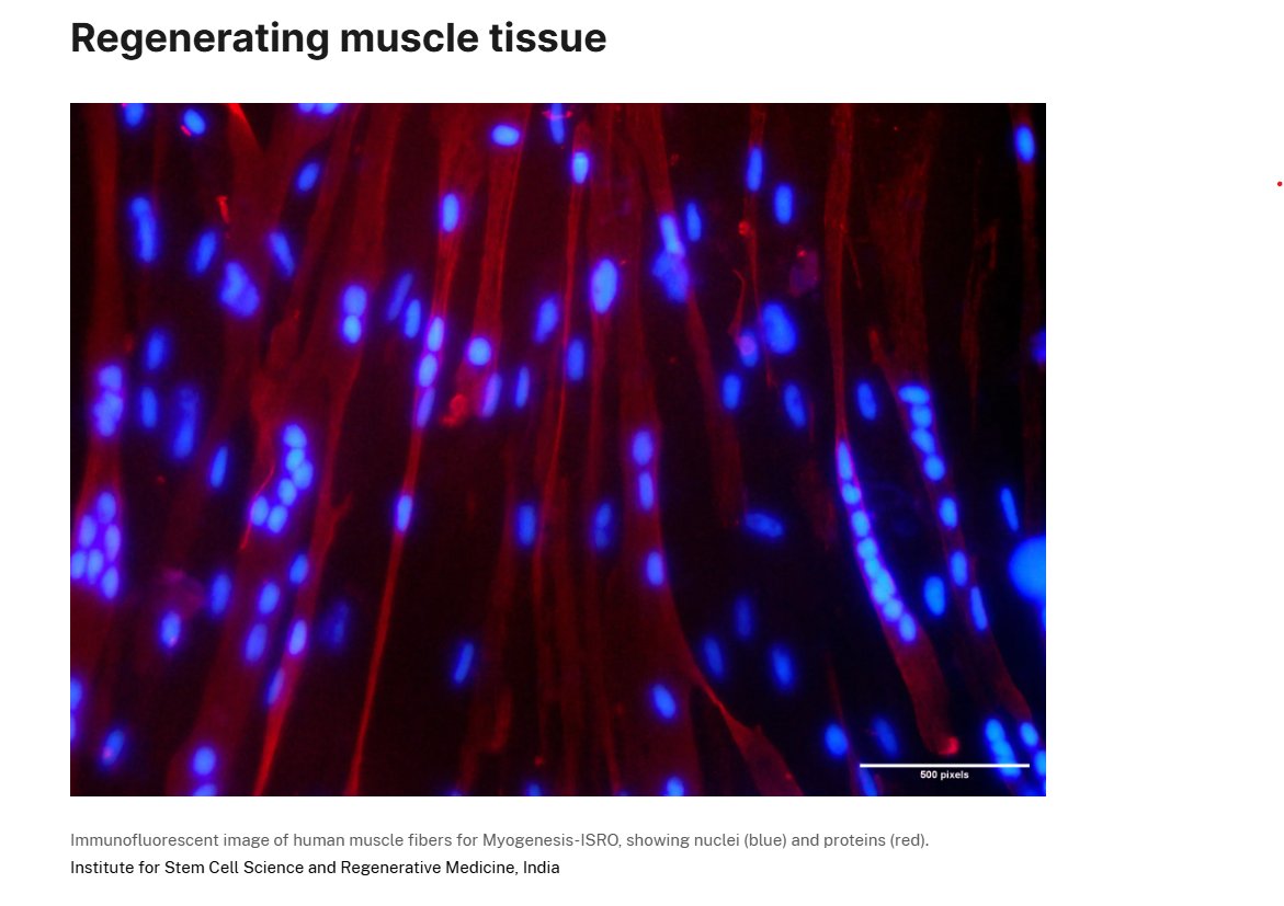 Department of Biotechnology (@dbtindia) on Twitter photo The aim of the third experiment is to study the effect of metabolic supplements on muscle regeneration under microgravity. <a href="/DBT_inStem/">iBRIC-inStem</a> Bangalore, <a href="/DBTIndia/">Department of Biotechnology</a> , Government of India) <a href="/DrJitendraSingh/">Dr Jitendra Singh</a> <a href="/rajesh_gokhale/">Rajesh Gokhale</a> <a href="/isro/">ISRO</a> <a href="/NASA/">NASA</a> The aim of the third experiment is to study the effect of metabolic supplements on muscle regeneration under microgravity. <a href="/DBT_inStem/">iBRIC-inStem</a> Bangalore, <a href="/DBTIndia/">Department of Biotechnology</a> , Government of India) <a href="/DrJitendraSingh/">Dr Jitendra Singh</a> <a href="/rajesh_gokhale/">Rajesh Gokhale</a> <a href="/isro/">ISRO</a> <a href="/NASA/">NASA</a>