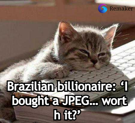 btc_ups's tweet photo. #nft brazil memes https://t.co/3Kinhtlzgr