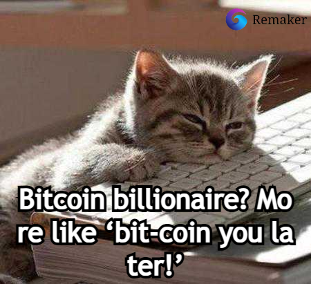 btc_ups's tweet photo. #bitcoin memes on #nft https://t.co/W8NpkMkDOY