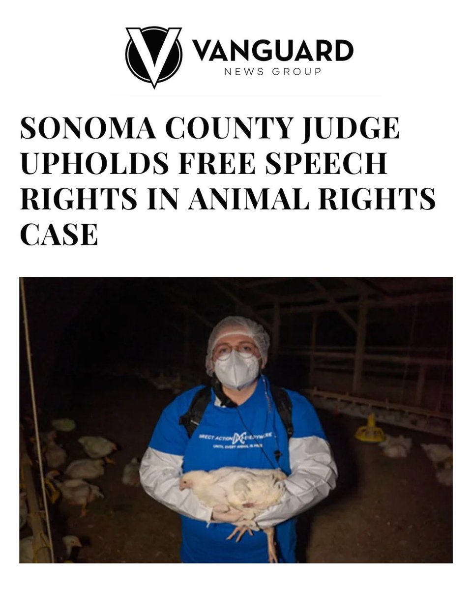 “Judge Gnoss’s ruling marks a significant moment in the case, reaffirming the role of free speech in legal proceedings involving public interest issues. As the trial approaches, Rosenberg’s prosecution continues to serve as a flashpoint for debates about animal rights, food