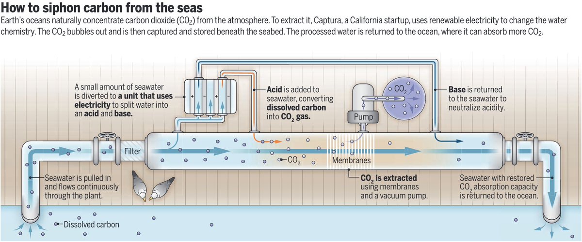 NewsfromScience's tweet image. Startups aim to curb climate change by pulling carbon dioxide from the ocean—not the air. 

Learn more on #WorldOceansDay: scim.ag/3FGr0m0