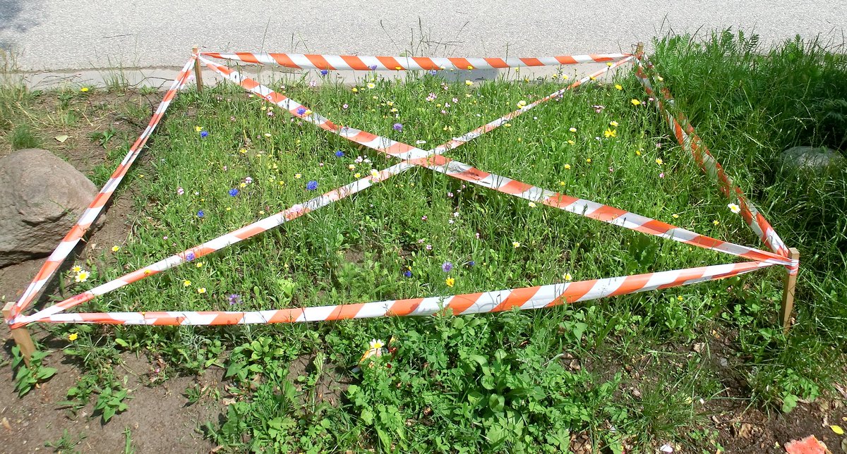 PMarikur's tweet photo. #Blumen am #Strassenrand
In Hamburg überrascht das einen. Doch es scheint zu funktionieren.
Kein Müll, kein Hundedreck 😊 https://t.co/AUDOIVLzNn