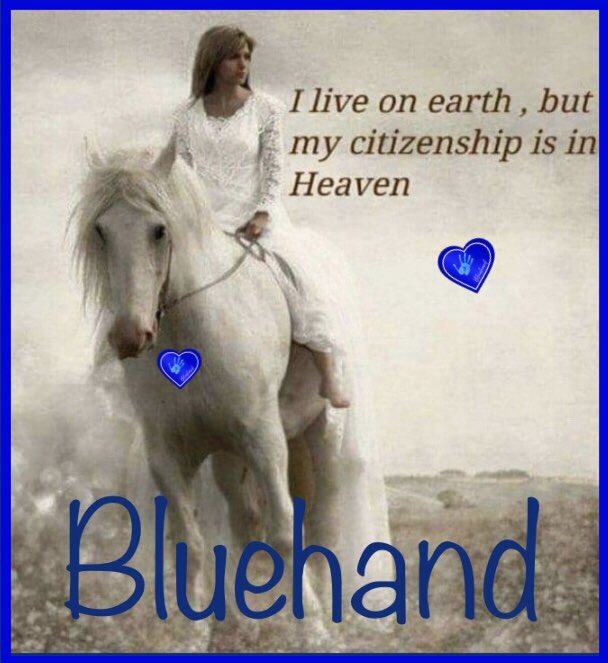 <a href="/aceciliahines58/">🇺🇸 Cecilia 🇺🇸</a> Happy Sunday #BluehandSister 

I hope you have a Beautiful Day.. 
🤗🌹🥰