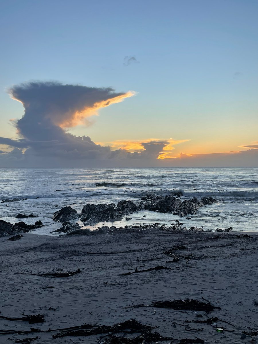 elnino_699's tweet photo. Cape Town

#BusinessTravel https://t.co/OuHvq0DceX