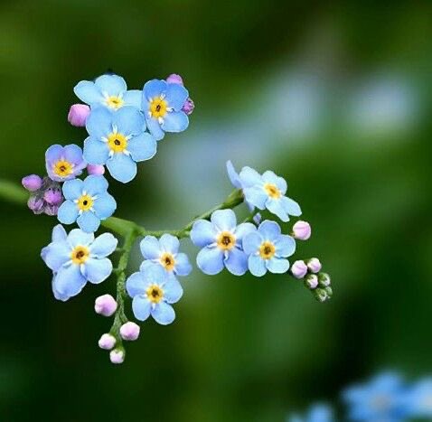 Happy Sunday.

Grateful for Rest.

What are you grateful for?

📸 ~ Borrowed