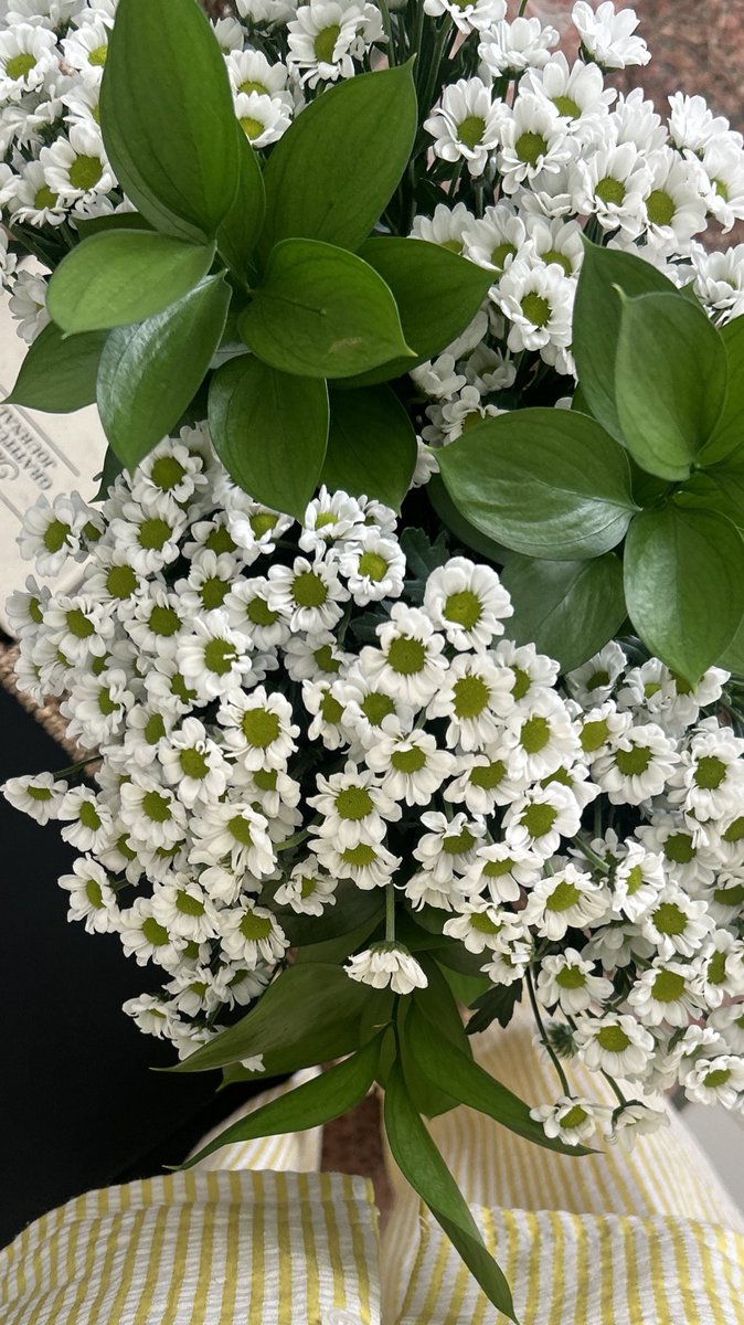 🪄⭐️☀️🌸