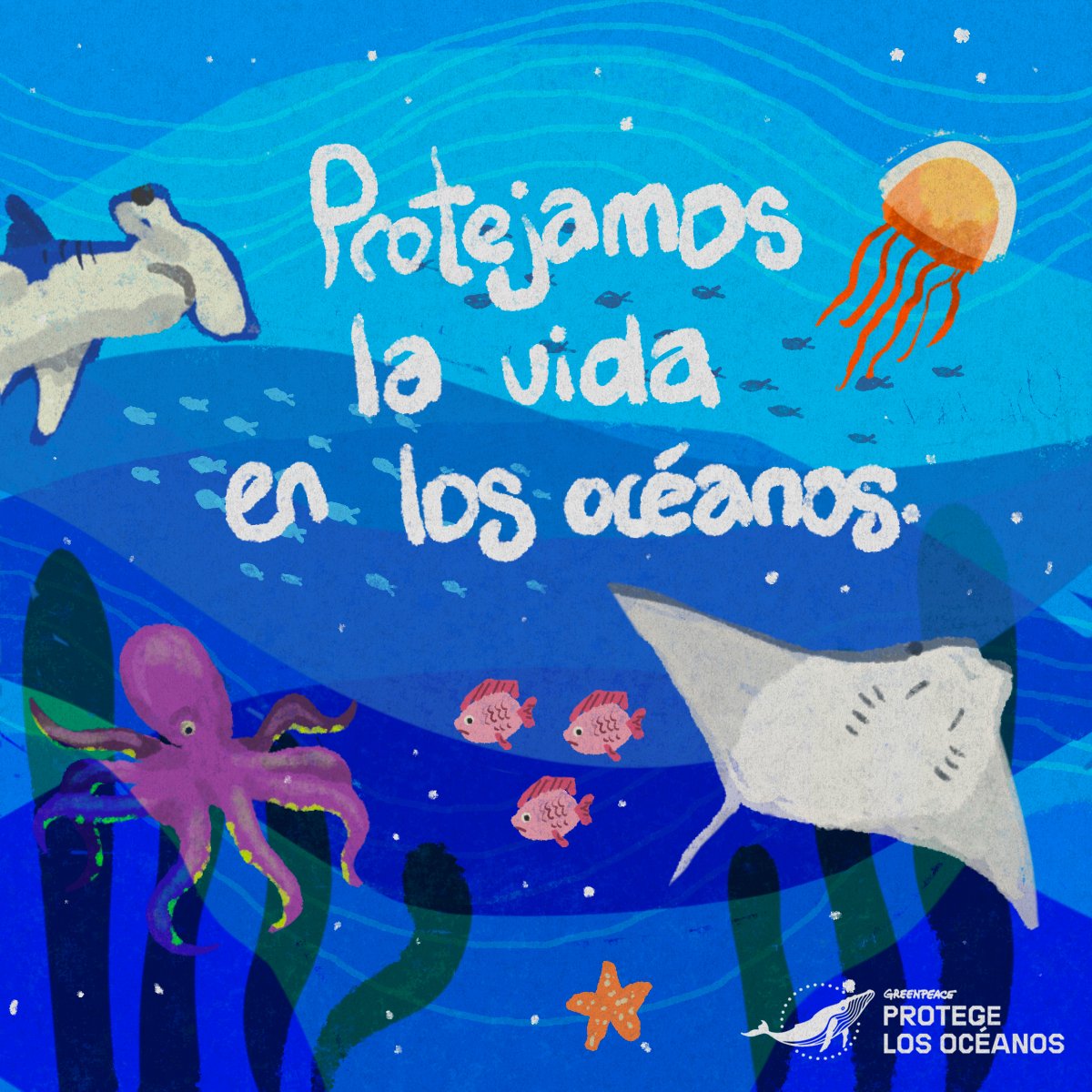 🌊 Hoy celebramos el #DíaMundialDeLosOcéanos 🐋
Y es urgente lograr el 30% de protección de los océanos del mundo para 2030.

¡México debe ratificar ya! Firma la petición por un #TratadoGlobalDeLosOcéanos y protejamos la vida marina.

Actúa: 🔗 act.gp/4jGXLh2 👈