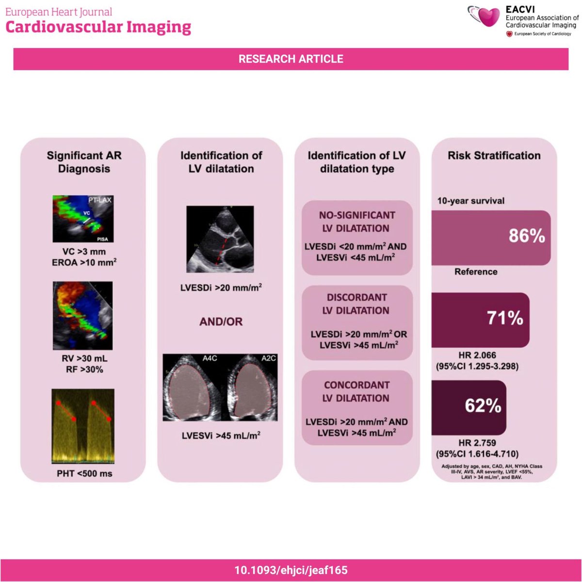 🚀 Excited to share our latest work published in #EHJCI on improving risk stratification in AR based on the extent of LV dilatation! 

⁉️Are we still referring patients for AVS based only on linear dimensions? 🤔

🧵

📖 Full paper: academic.oup.com/ehjcimaging/ad…