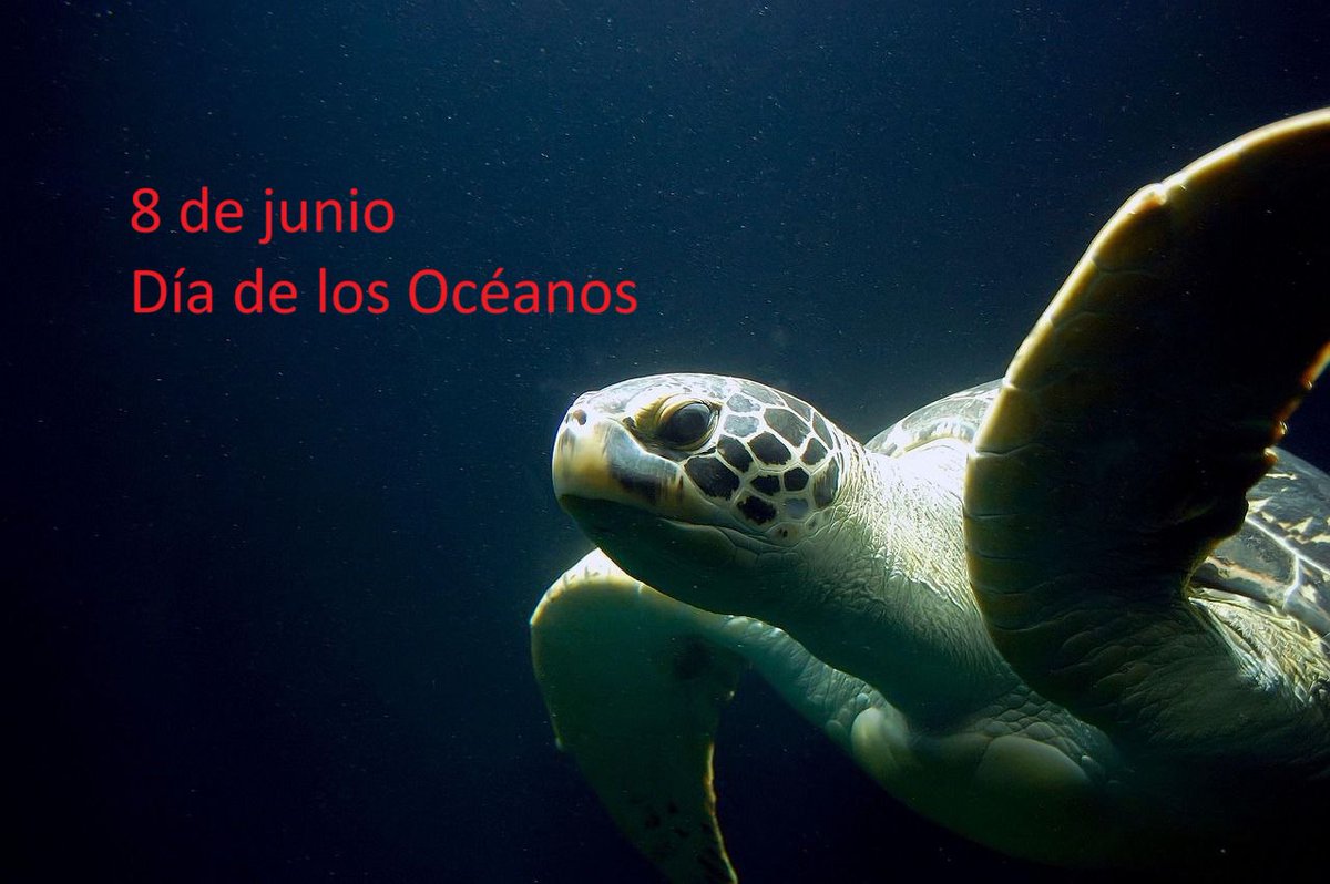 IU Medio Ambiente tweet media