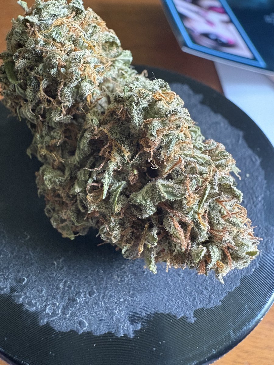 Ohio Grows Organic (@growsohio) on Twitter photo Twisting up a doobs for Sunday Cleaning at the house!!! Just some Autoflowers I grow by <a href="/MephistoGenetic/">MephistoGenetics</a> known as Chemdogging….. it’s got that chemmy sweet nose….. delicious. Twisting up a doobs for Sunday Cleaning at the house!!! Just some Autoflowers I grow by <a href="/MephistoGenetic/">MephistoGenetics</a> known as Chemdogging….. it’s got that chemmy sweet nose….. delicious.
