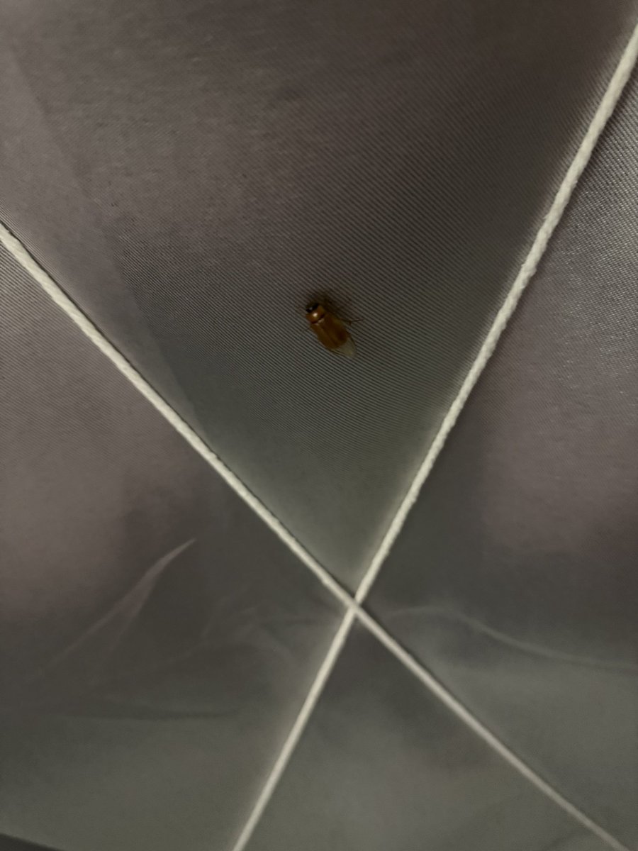 黄推福利内容 - 喵喵耶子的精彩图片 福利姬喵喵耶子分享的黄推图片2 - 网红私拍内容