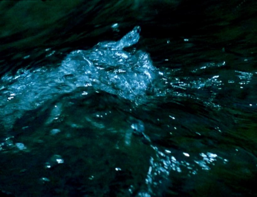 aberrant44's tweet photo. comingled containers (1996) dir. stan brakhage https://t.co/wiYplIuWzw