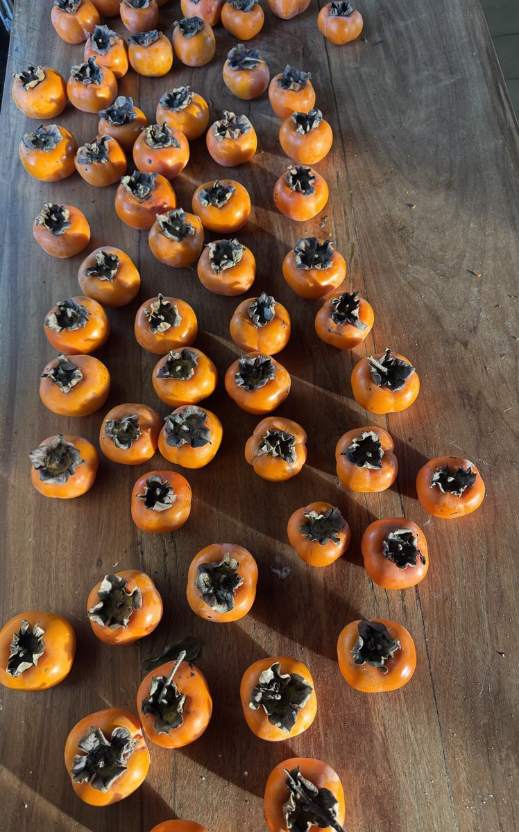 Otra cosecha otoñal.