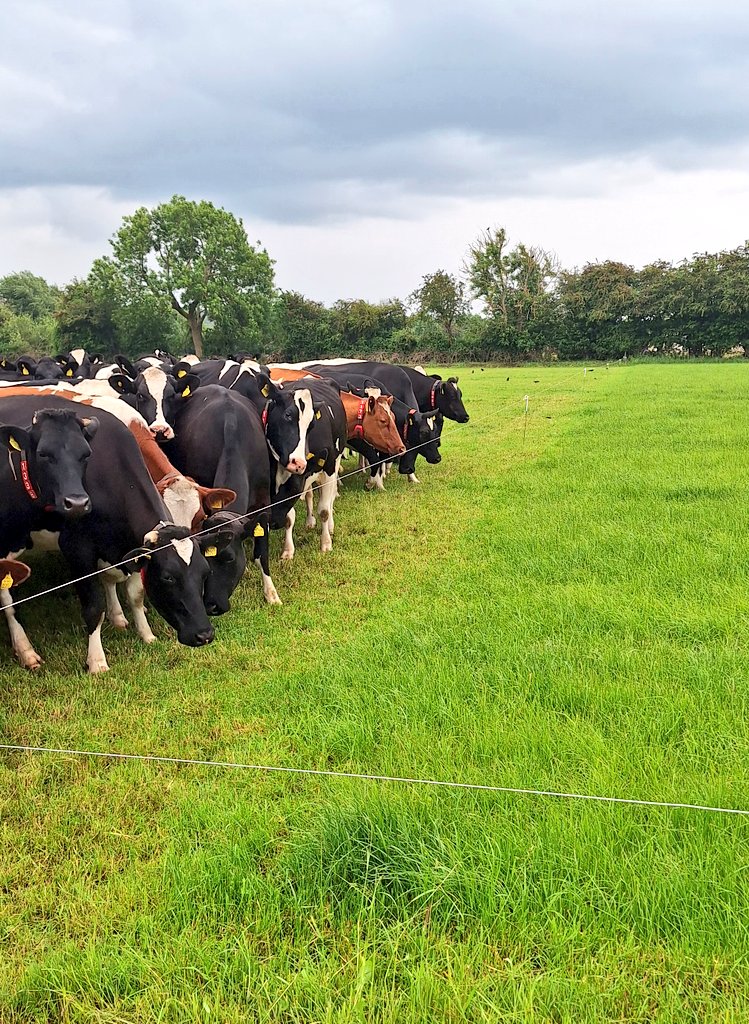 Kieran Griffin tweet media