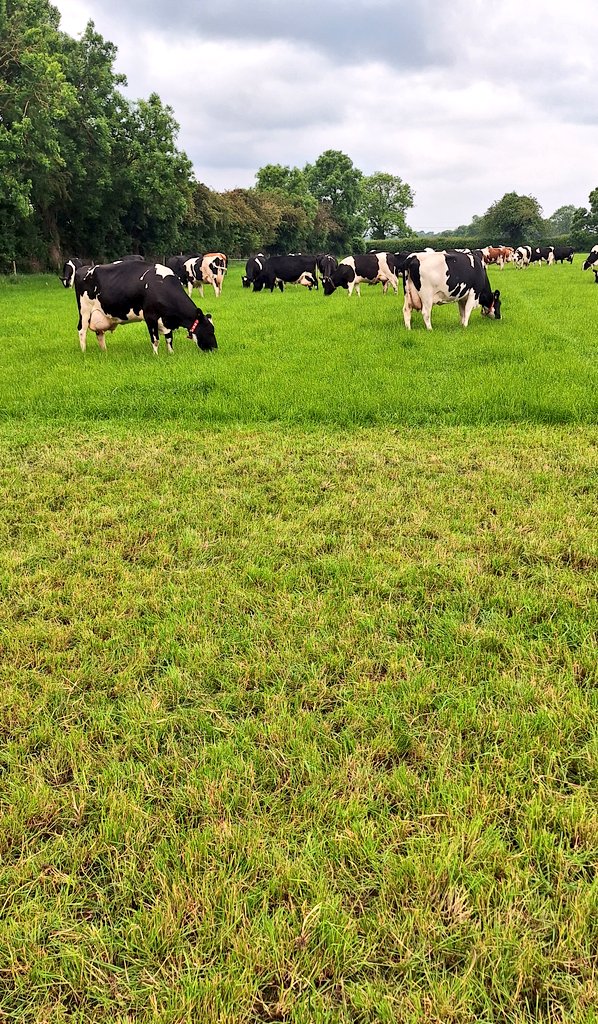 Kieran Griffin tweet media