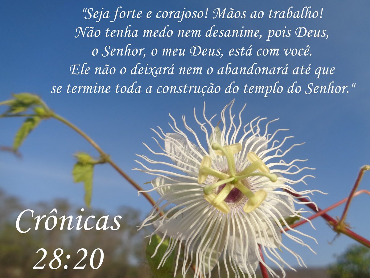 CZambelo's tweet photo. #Amém ☝️🙏🙏☝️
#BoaTarde🌻 https://t.co/jwOYC0ASkY