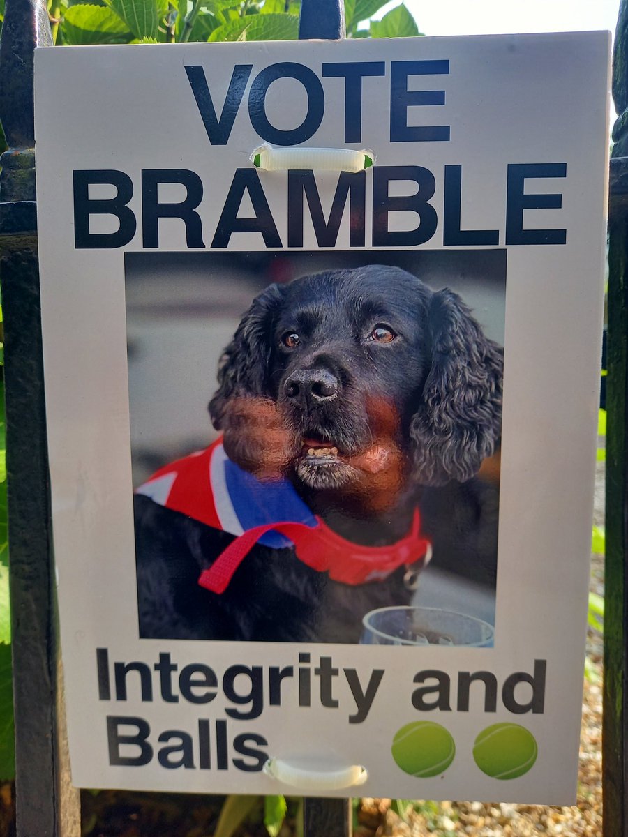 A candidate whose values I fully endorse... 🐶 #GuernseyElection2025 #Paws4Thought