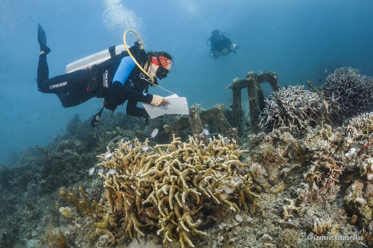 Fonds français pour l'environnement mondial (FFEM) tweet media