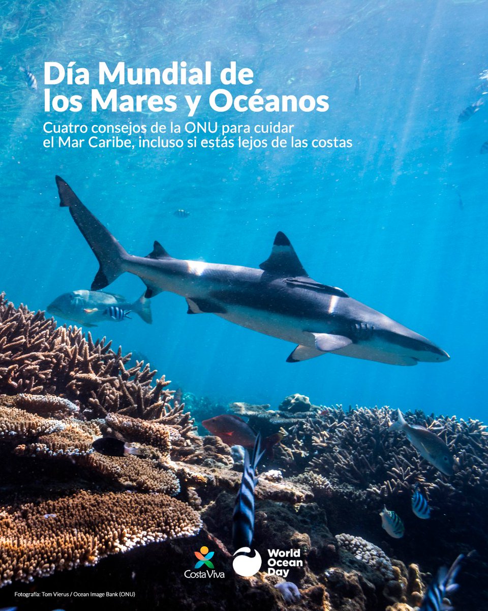 🏖️  #8jun Día Mundial de los Mares y Océanos

Para conmemorar ese día, Fundación Tierra Viva comparte cuatro consejos de la ONU para cuidar nuestro mar Caribe desde casa

instagram.com/p/DKo5WtTu8wc/…