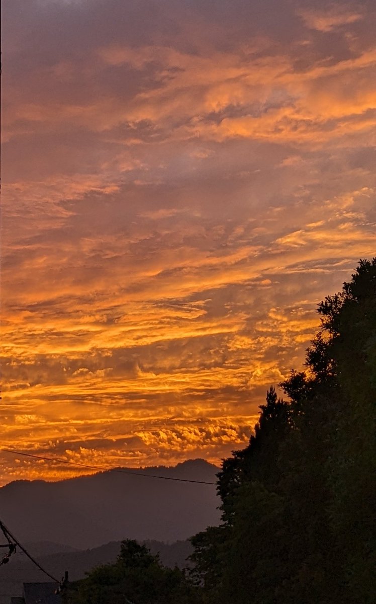 本日の夕焼け。
こんなにきれいな夕焼けは久しぶりだなぁ。愛宕山も一応見えてるので、思わず立ち止まって、スマホを取り出してしまった。
#嵯峨野 
#夕焼け 
#愛宕山