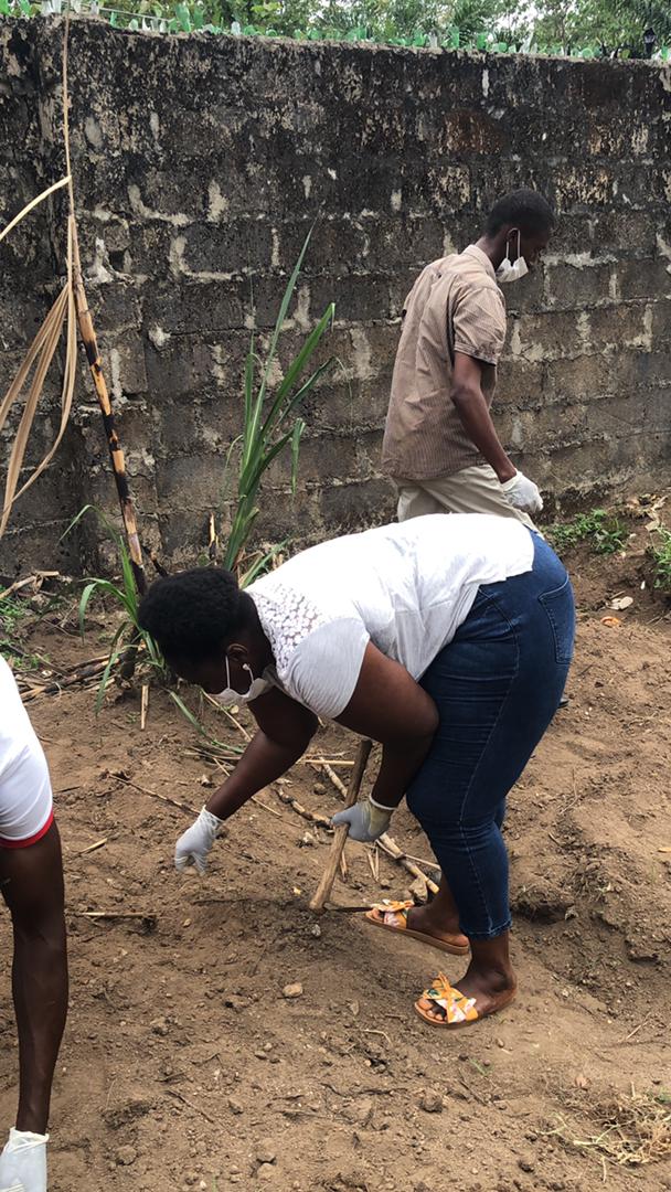 Dearplasticsl's tweet photo. Dear Plastic team at the University of Makeni, Fatima Campus on #WorldEnvironmentDay, planting maize crop at their just established campus garden. This site was once a plastic waste dump site.
#DearPlastic
#EcoTalk https://t.co/rKCQ74fdvC