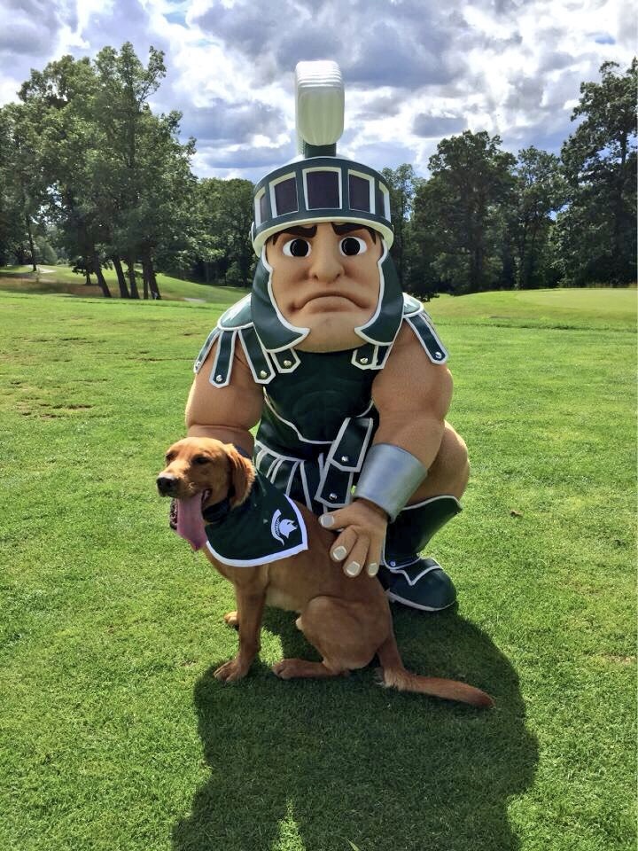 Your fav Spartan duo: <a href="/TheRealSparty/">Sparty</a> and <a href="/MSUZeke/">Zeke 🥏 the Wonderdog🐕</a>. 💚