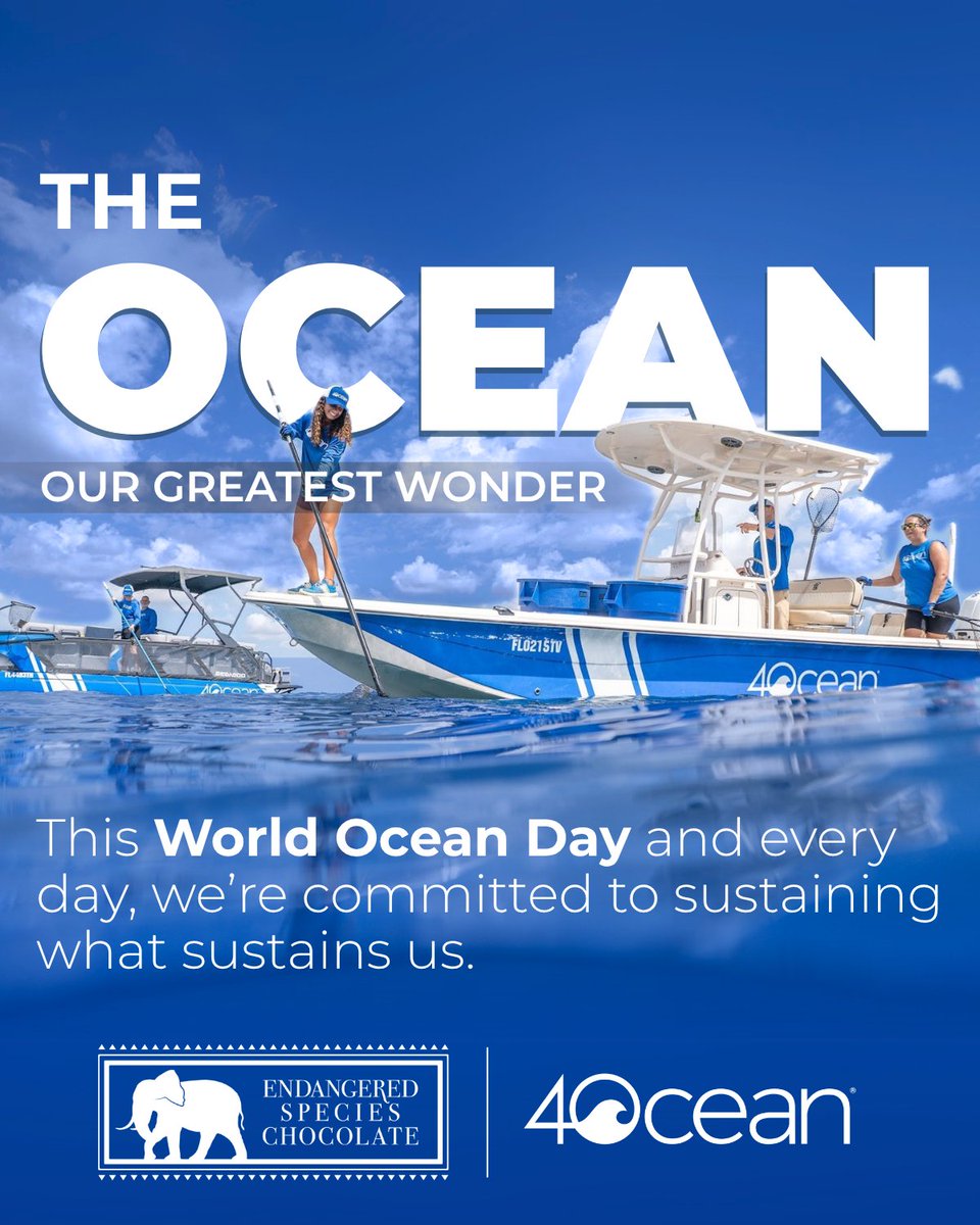 Endangered Species Chocolate tweet media