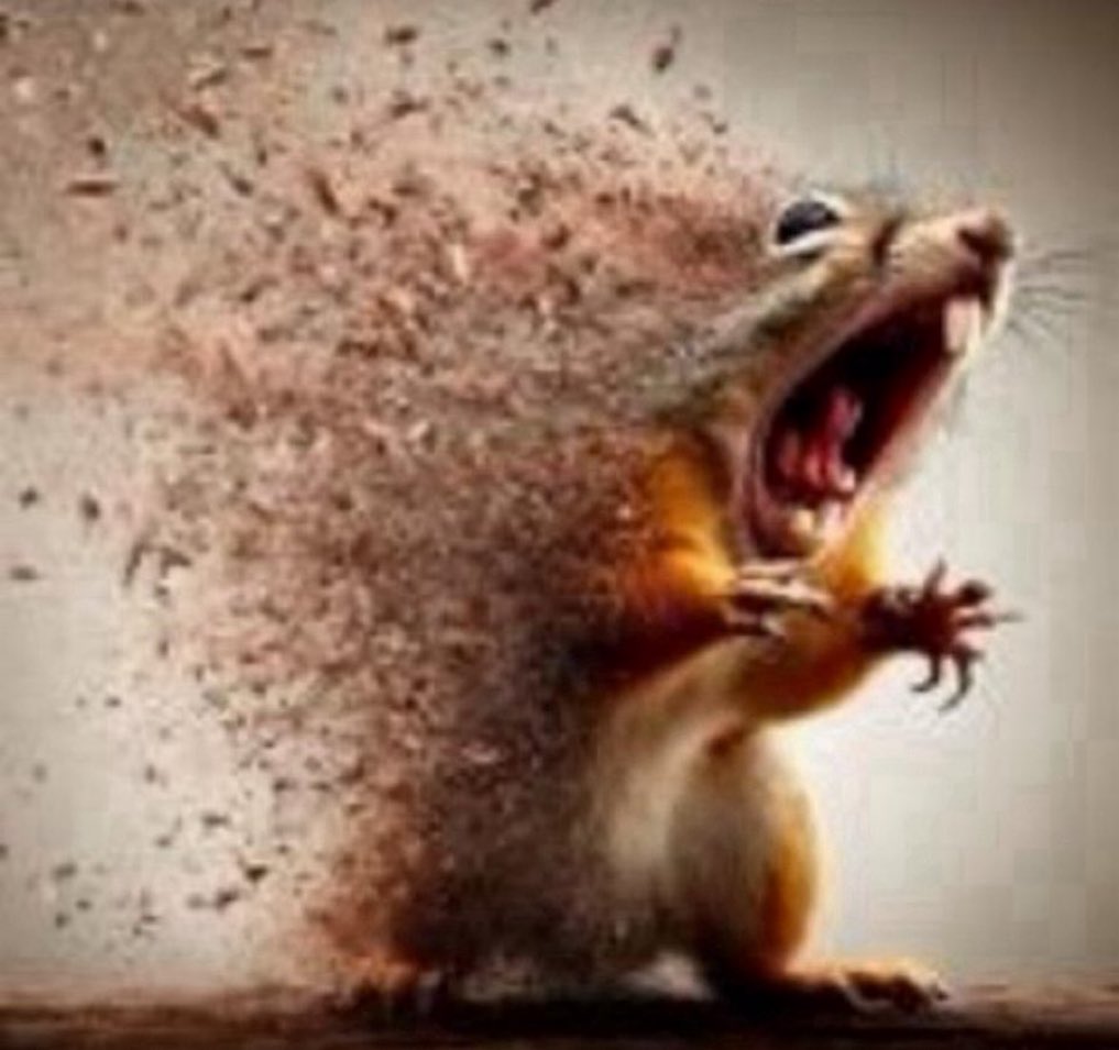 this is how i like to imagine hammond every time i kill him while on ana
