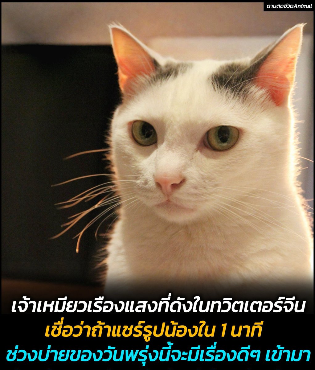 แกอย่ากดดันชั้น~ tweet media