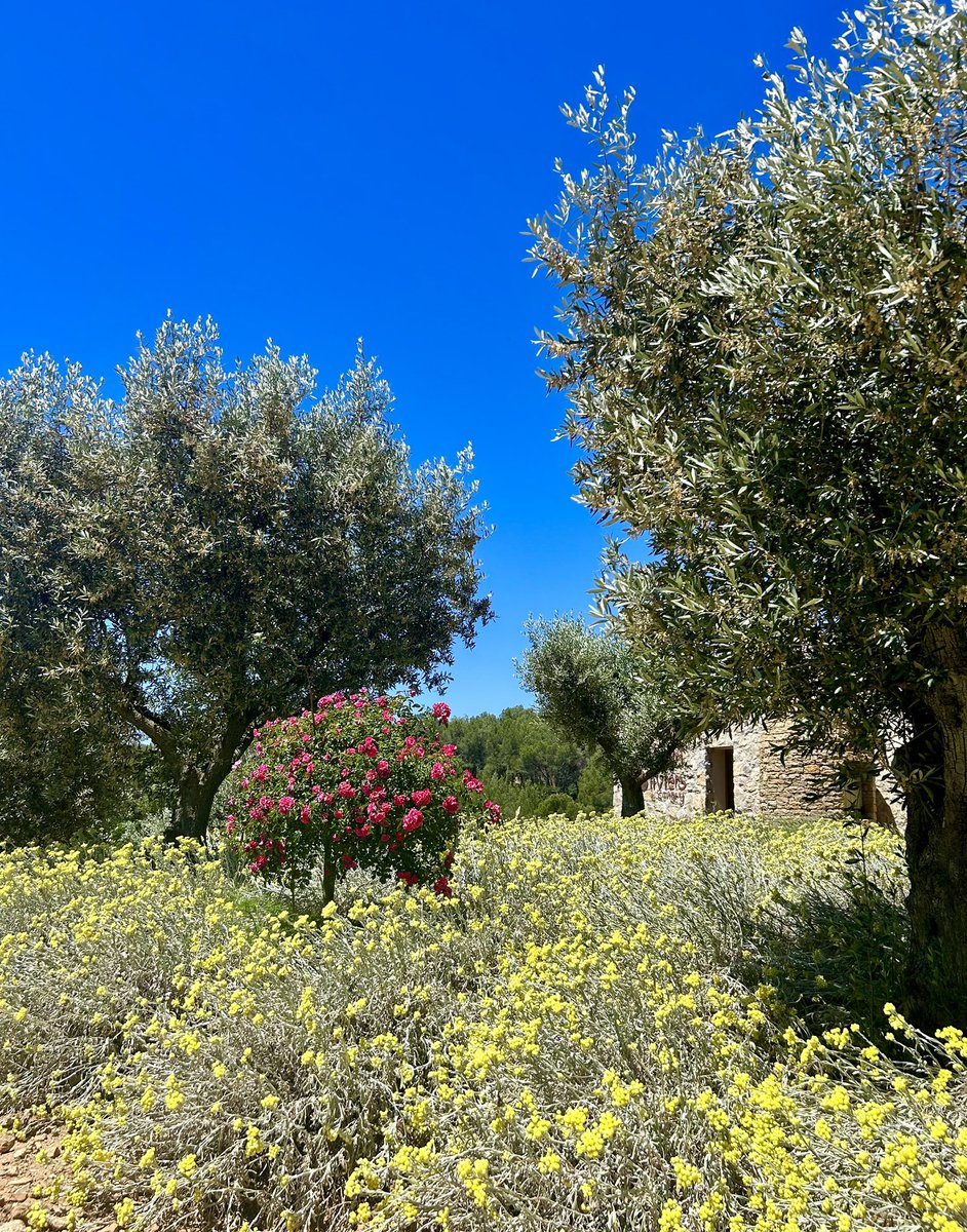 En Provence 🌞🌞🌞