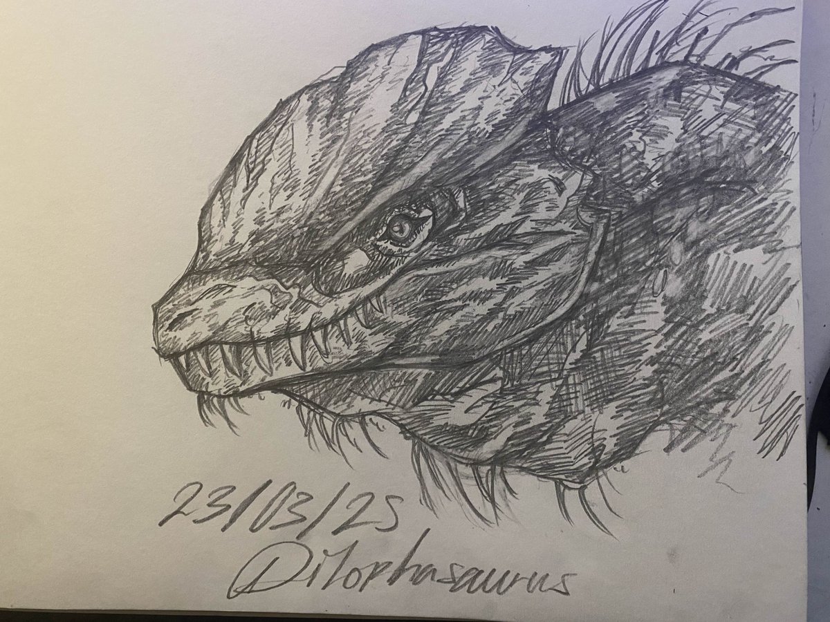 07Liminus's tweet image. dilophosaurus drawing i completed