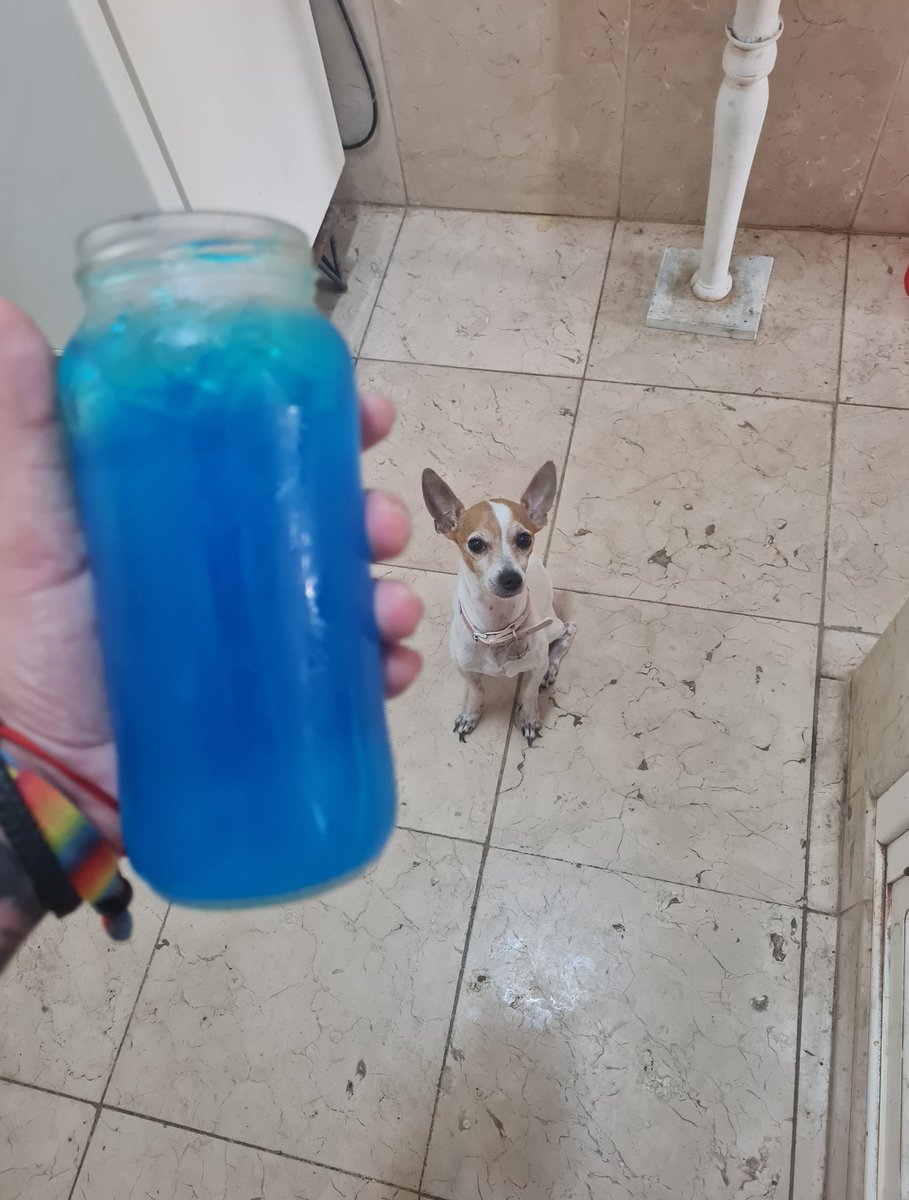 Pal desayuno,poción de mana...y casteo a mi familiar