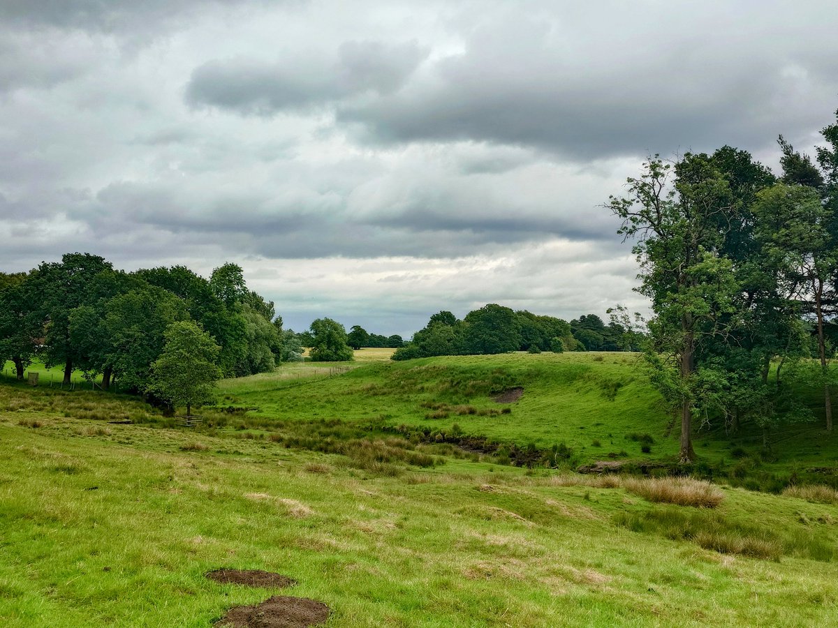 MonicaCrimmins's tweet image. Luckily only the odd shower around Tatton park today. Beautiful place to visit ❤️ #Knutsford #Cheshire