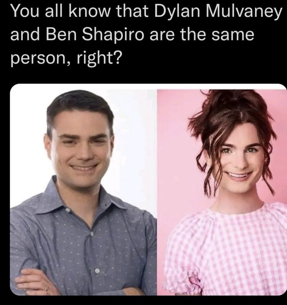 goddek's tweet image. 