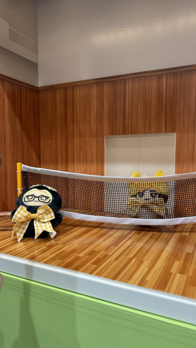 ねこむ tweet media