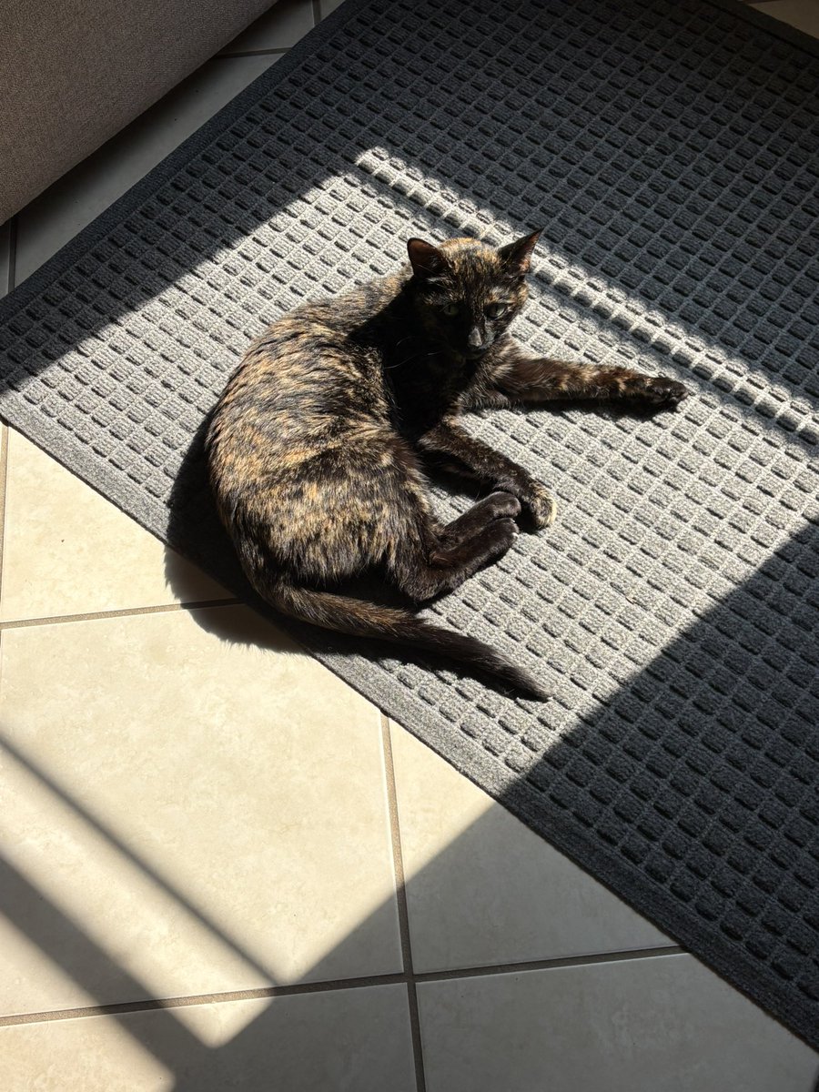 If you need me, I’ll be here until the sun leaves. You can use other doors to exit today.