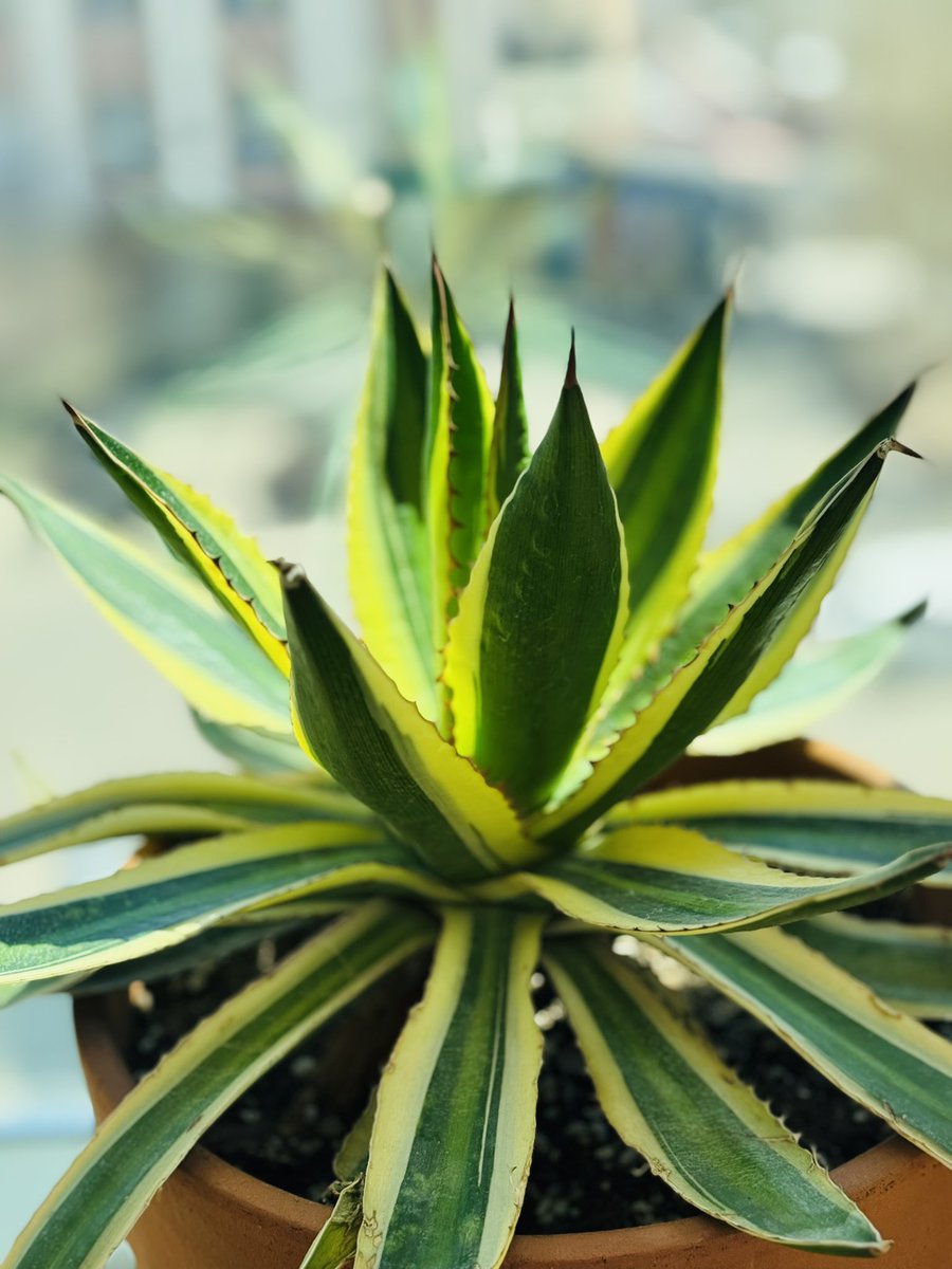 sunday (@butensainb) on Twitter photo 