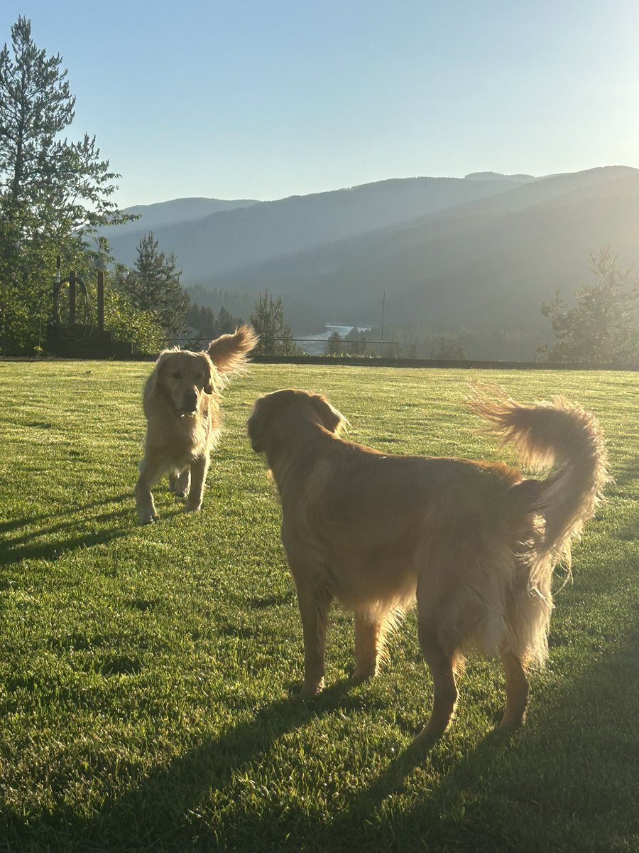 Good Morning ☀️ ☕️ 
Gonna be a hot one !