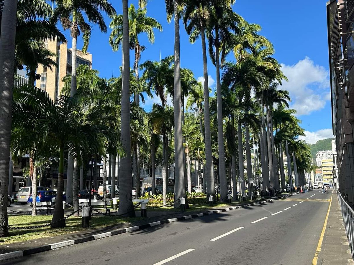 thangleadervn's tweet image. Vietnam- Mauritius 6/2025: an island littorals in Africa Indian Ocean, the country’s financial services are very developed. #MasterStrategy of Vietnam toward Africa next 10 years should get thru this element, but something’s on table n seriously considered by persons in charge @