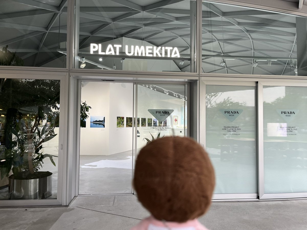 kurekure_ds's tweet image. Instead of busy nong win, phi win visited the event #PradaMode Osaka today🐰💚
#winmetawin  #PradaxWin