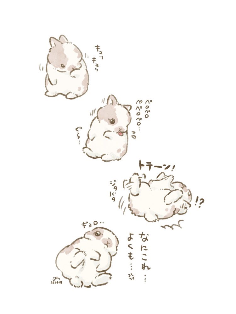 🐰裏返しはだいたい人間のせい 
