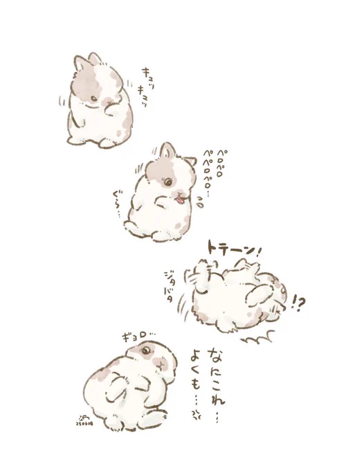 🐰裏返しはだいたい人間のせい 