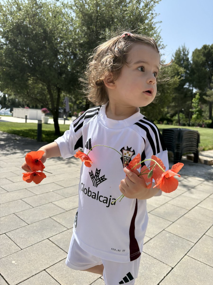 JaviRomeroAB's tweet photo. Hoy toca sesión de amapolas https://t.co/SPggRuuEdN