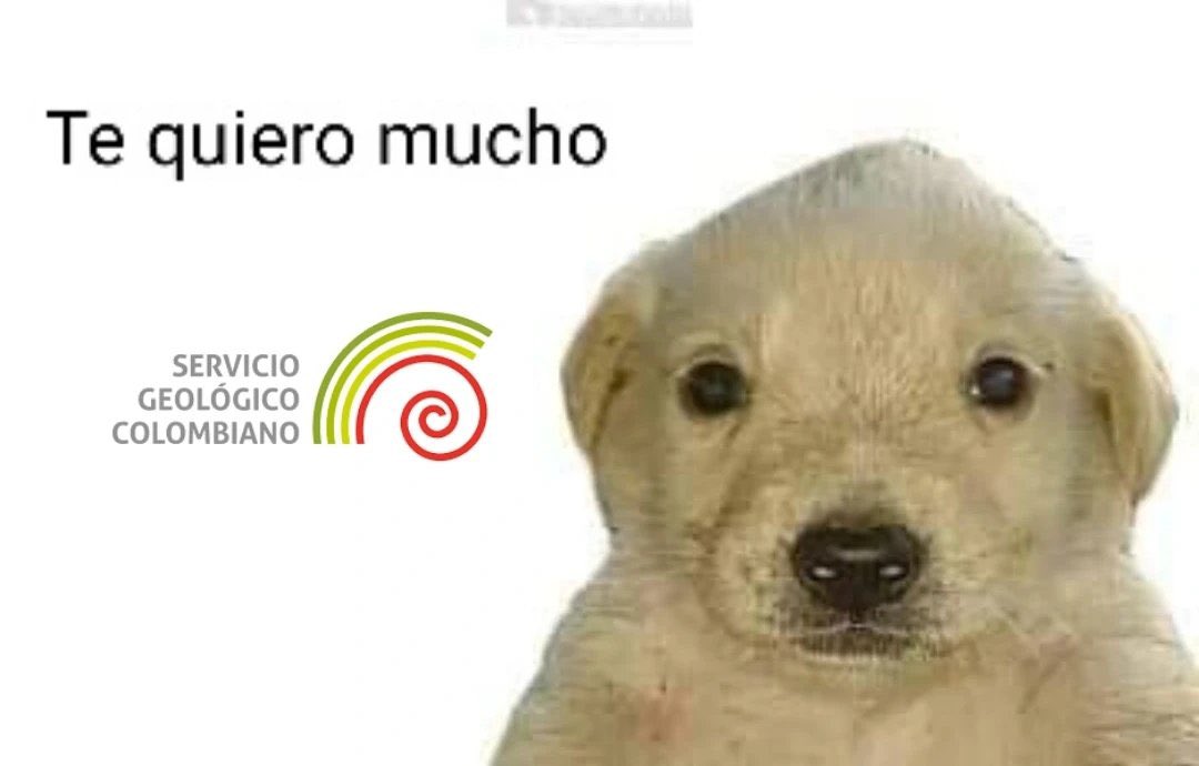 Jorgito🐇 (@burbujaxxter) on Twitter photo 