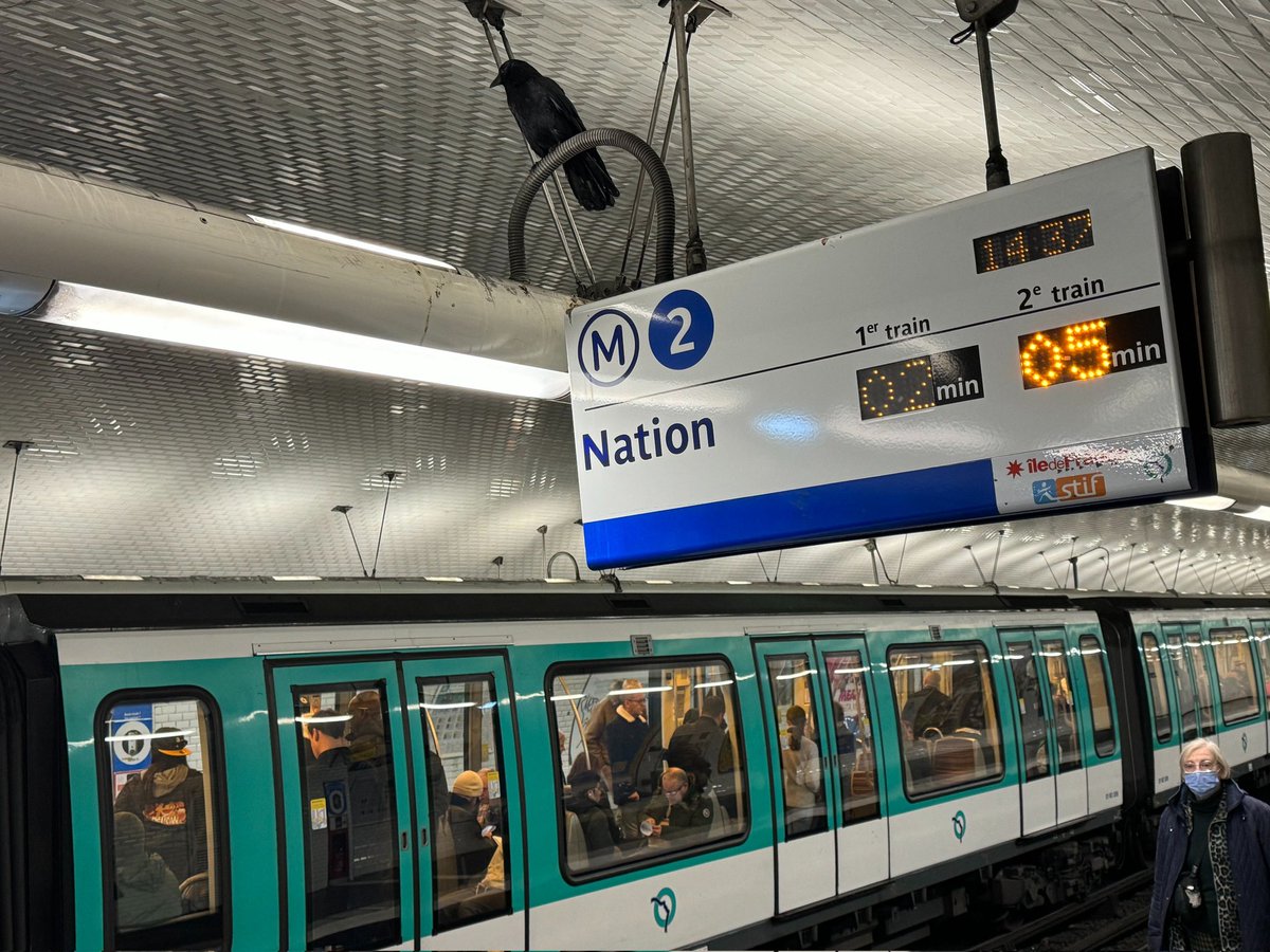 🚇 FAKE Fun fact !
Les lignes 2 du métro de Paris 🇲🇫 et de HongKong 🇭🇰, partagent le même bleue 💙
#RATP
#MTR