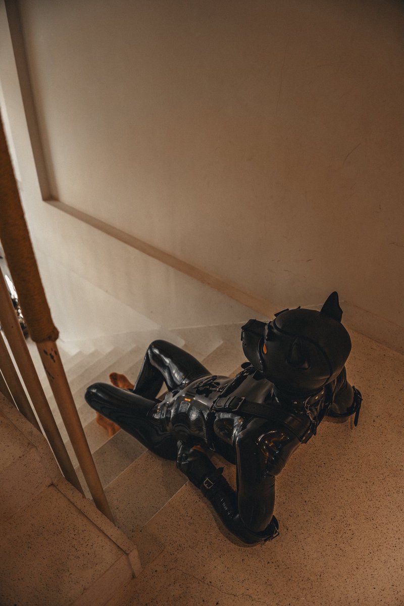 在大房子里！
📷：<a href="/ZebraSpidey/">斑马Zebul</a> 
⛓️：<a href="/Gibbon_Black/">GibbonBlack_CN</a>