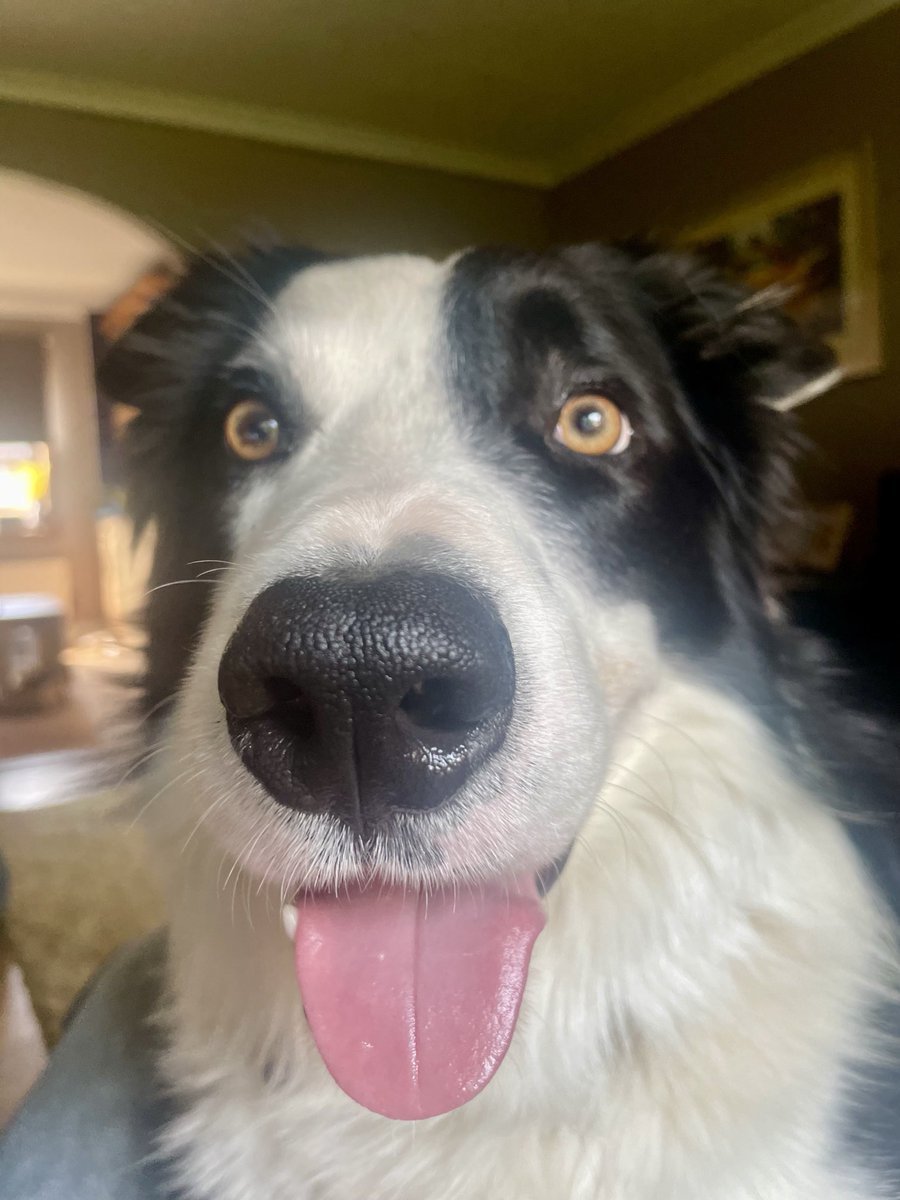 Morning! 🐾🐾❤️