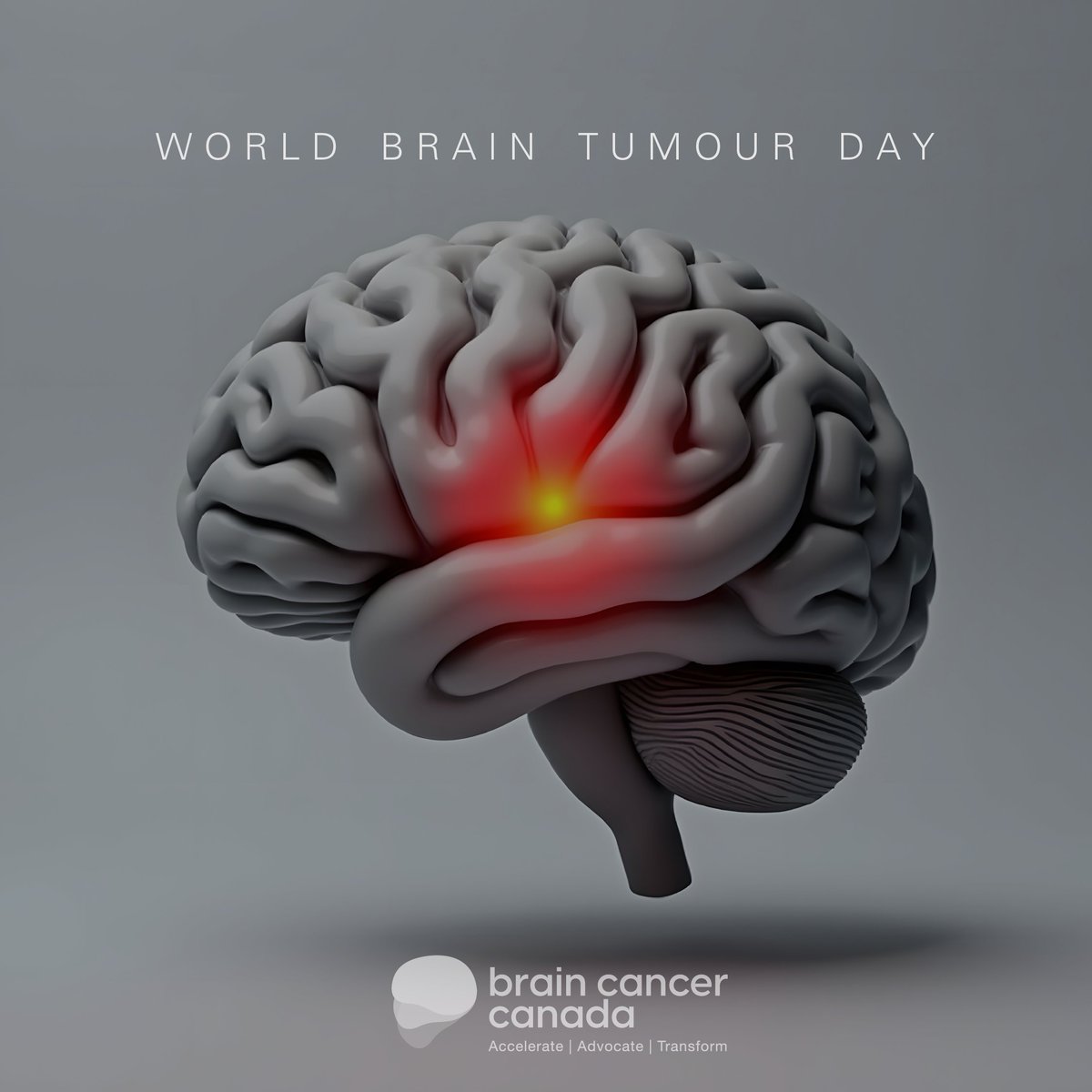 braincancercan's tweet image. Today is World Brain Tumour Day🌎🧠
Brain tumours impact millions of lives worldwide. Raising awareness, providing patient support, promoting research, and advocating for those affected are vital.
Every day, an estimated 27 Canadians are diagnosed with a brain tumour.
Of…