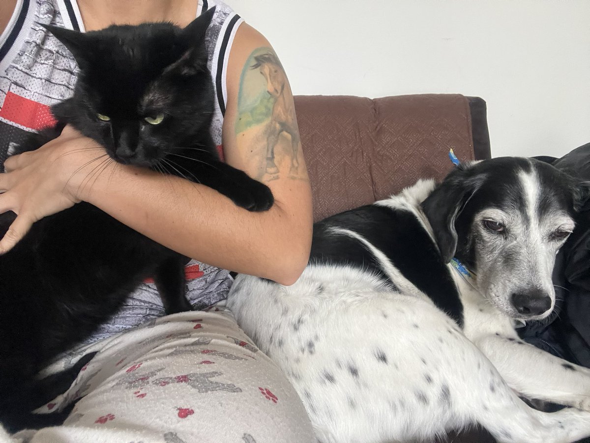 No__Importa's tweet image. El único día que podíamos dormir hasta tarde jajaja :( cuidado temblaban a las 11 o algo 
 #Temblor